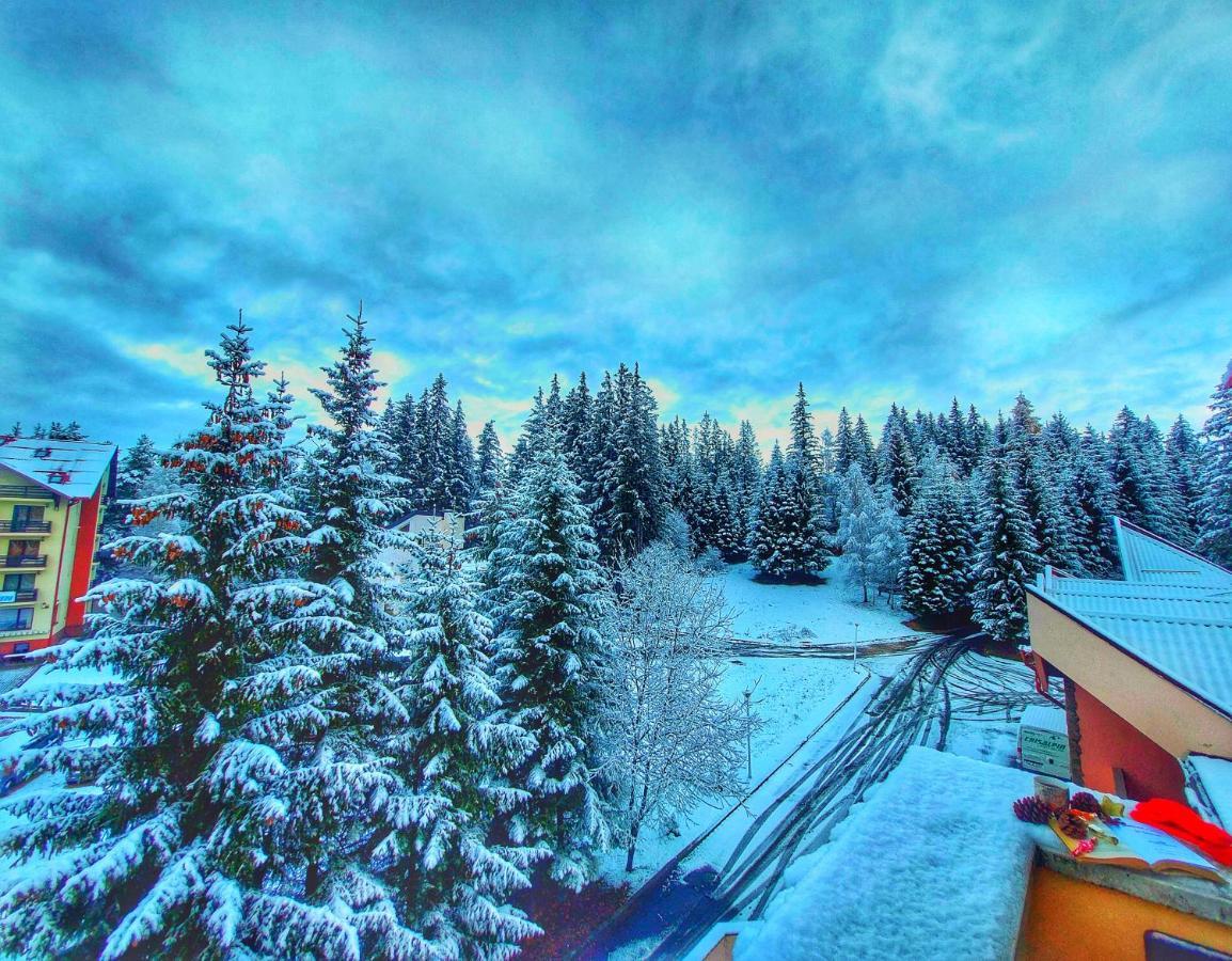 Hotel Vila Simonte Poiana Brasov Exterior foto